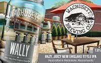 Wachusett Brewing Company - Wally